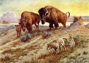 unknow artist Buffalo Family painting